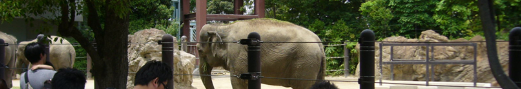 スペシフィック関連速報